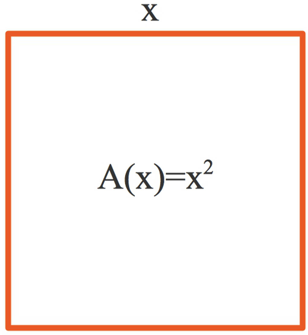 995_Quadrat.jpg