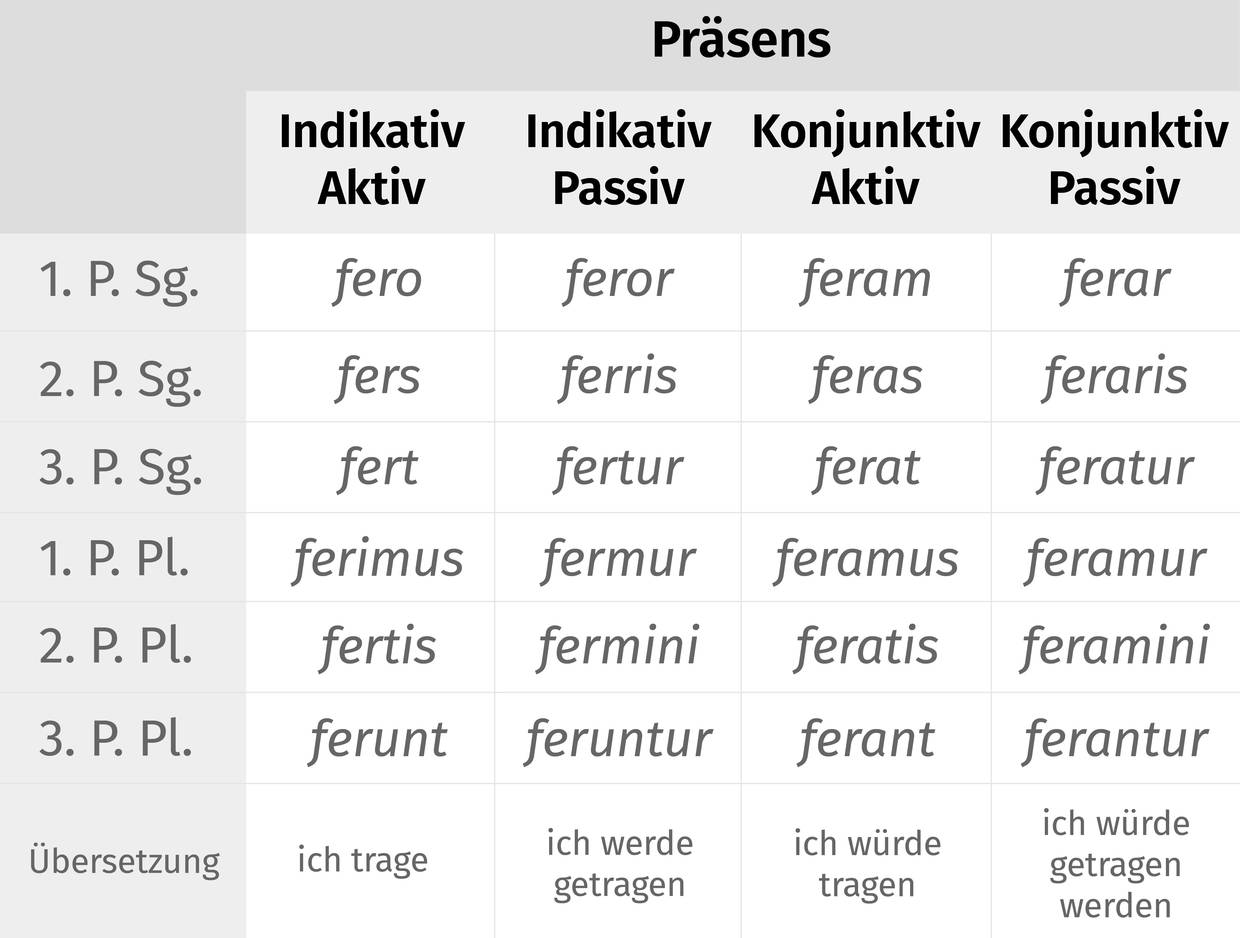 Das unregelmäßige Verb ferre im Präsens