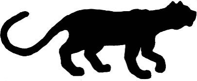 Panther