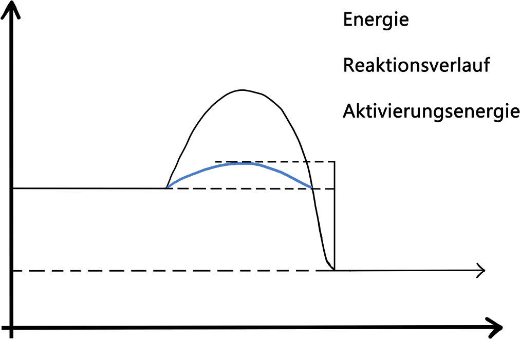 diagramm.jpg