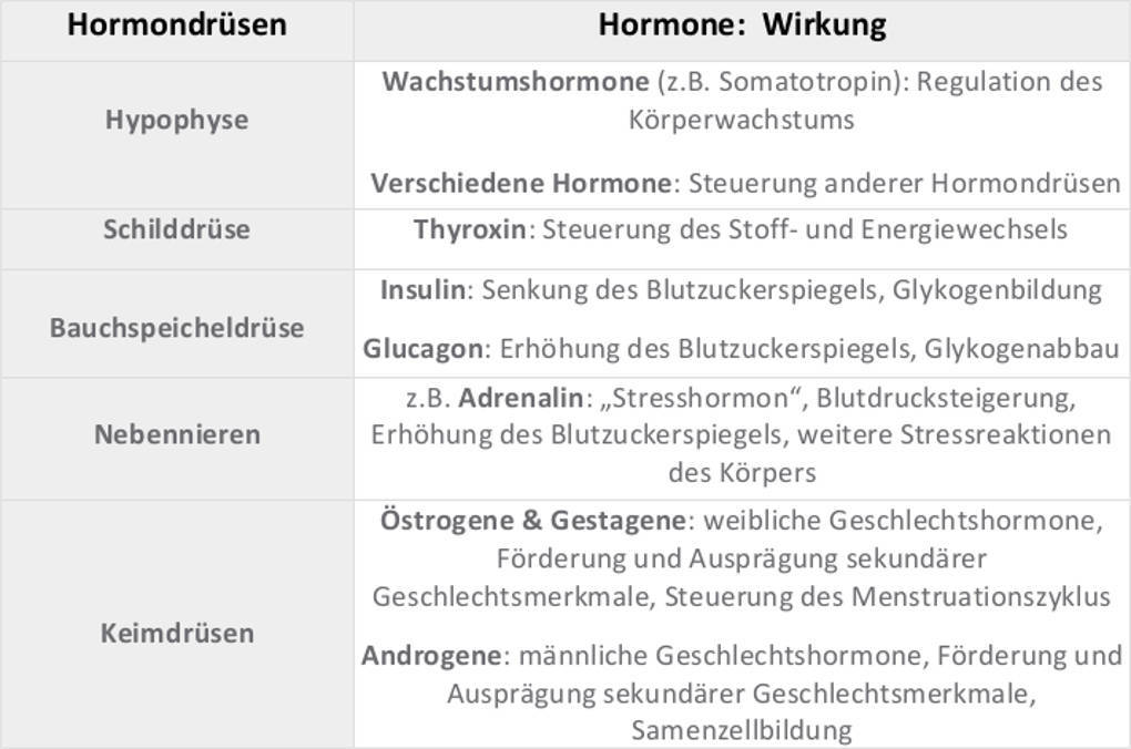 Hormondrüsen, Hormone und ihre Wirkung.jpg