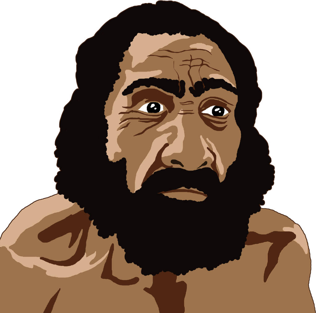 Homo neanderthalensis