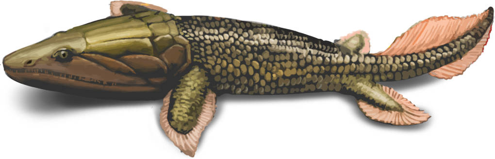 !Panderichthys.jpg
