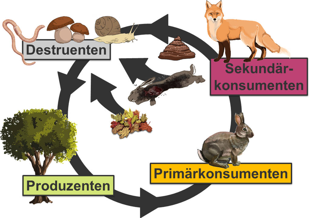 Nährstoffkreislauf