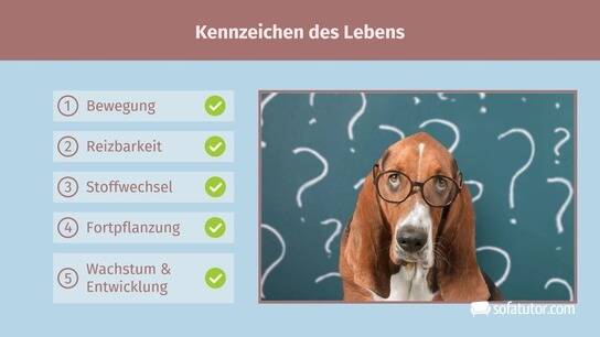 Kennzeichen Des Lebens Was sind die Kennzeichen des Lebens? [Übung]