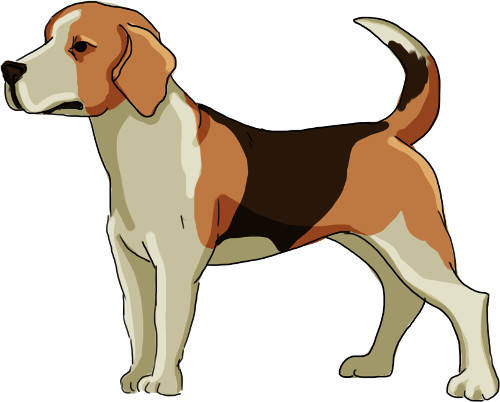 Hund