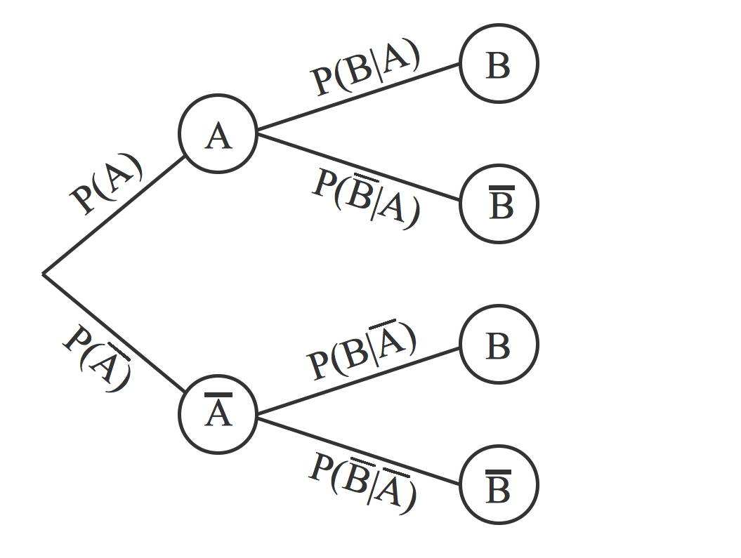 Baumdiagramm