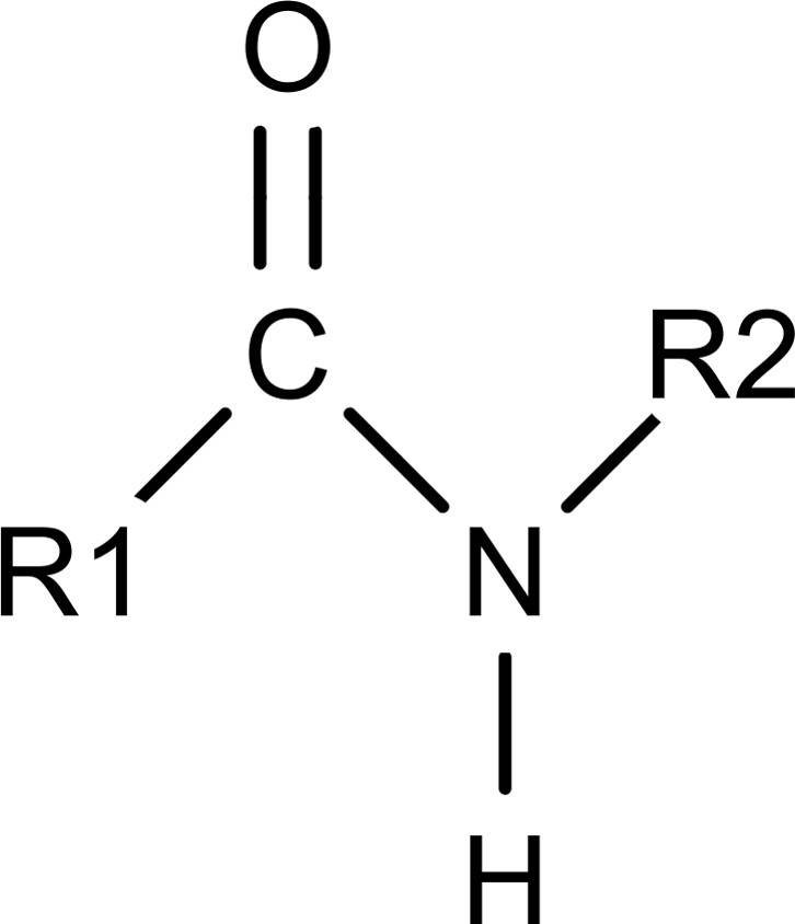 peptid.jpg