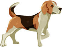Jagdhund