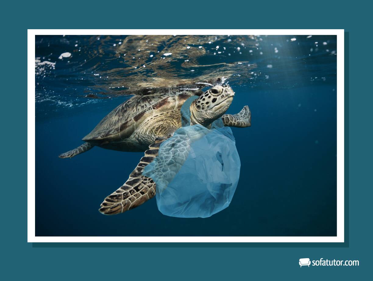 Plastik Gefahr Schildkröte Plastik Gefahr Schildkröte