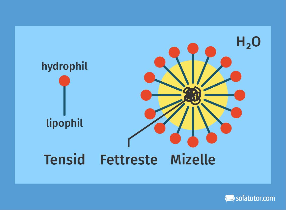 Tenside bilden Mizellen