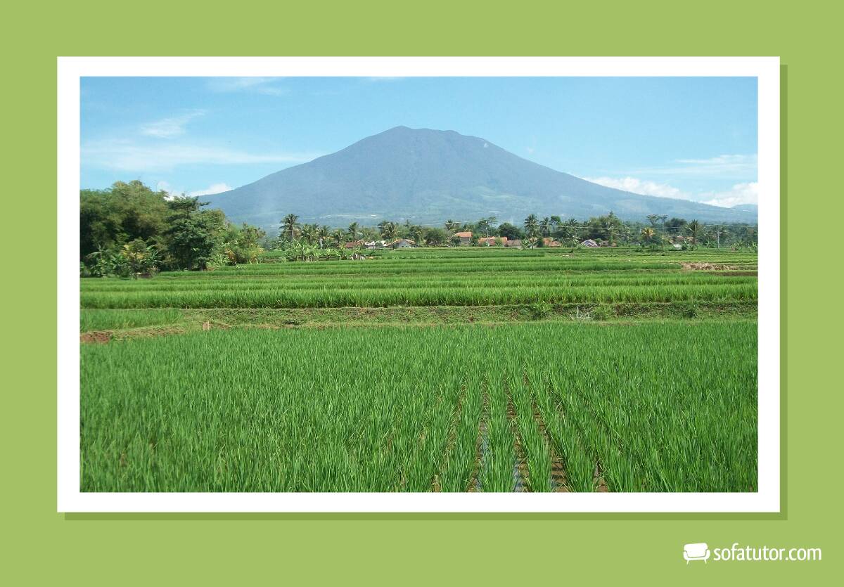 foto-frame_(46).png