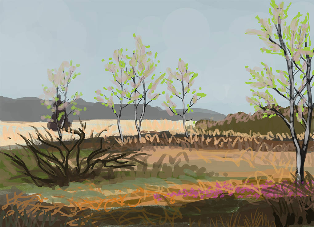 Moorlandschaft_s1.jpg