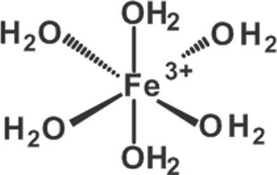 eisen(III)-komplex.jpg