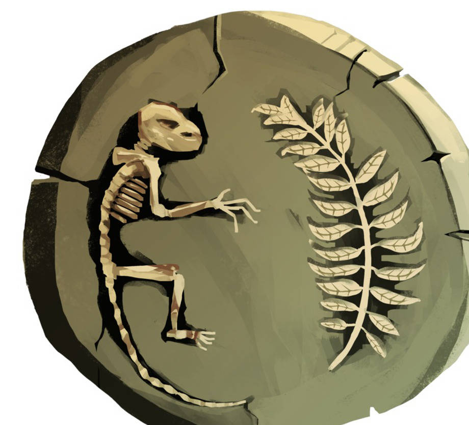 Fossil_Bild.jpg