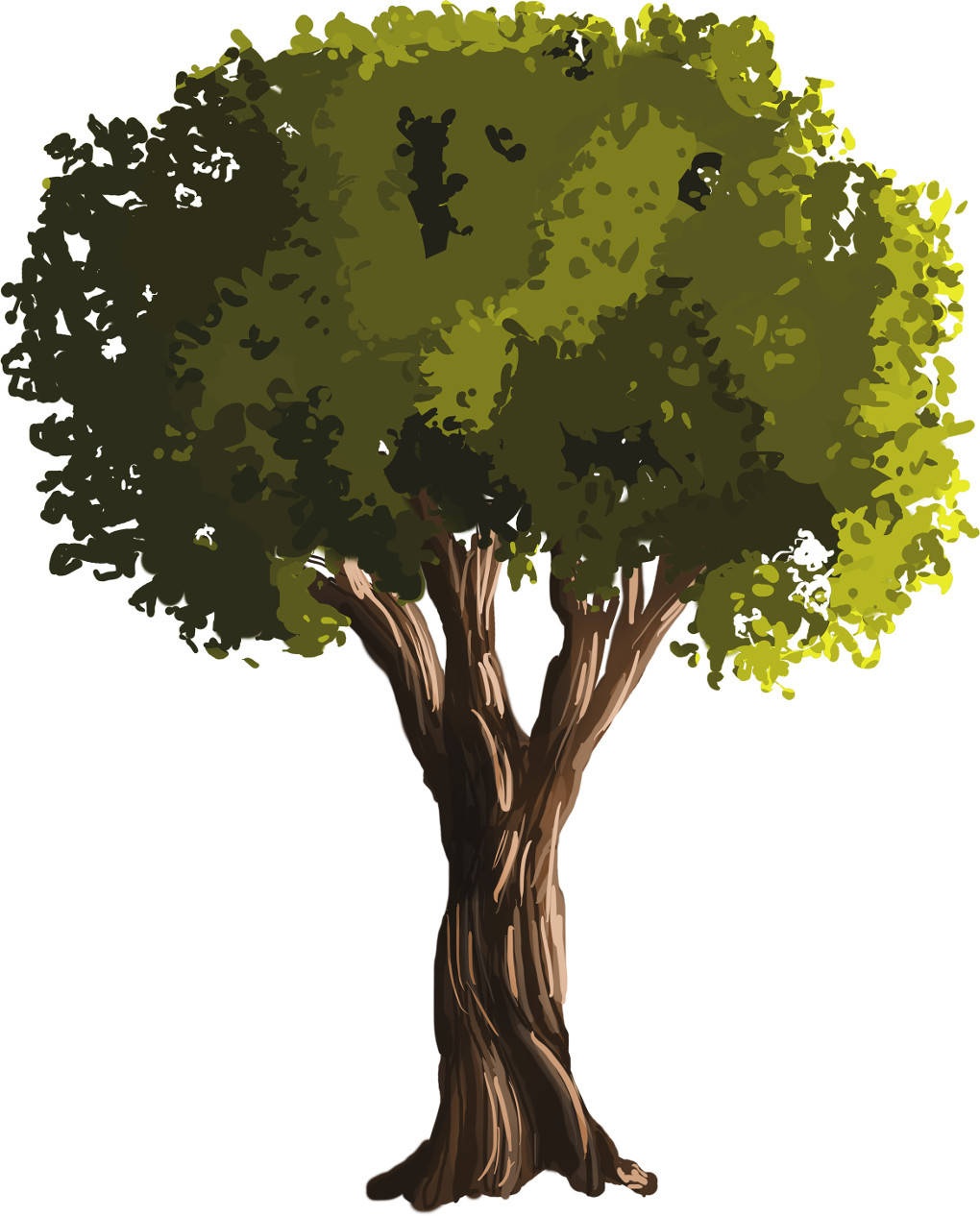 Baum.jpg