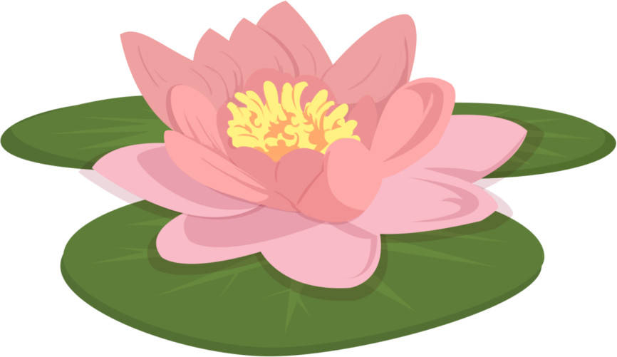 seerose.jpg