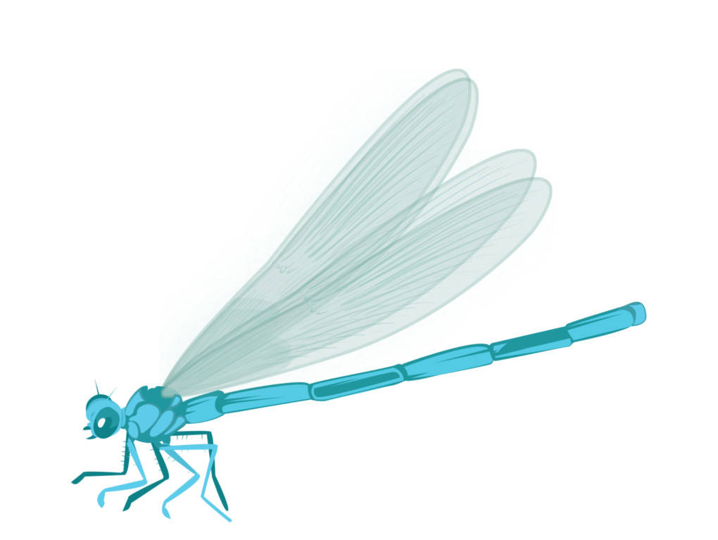 lIBELLE.jpg
