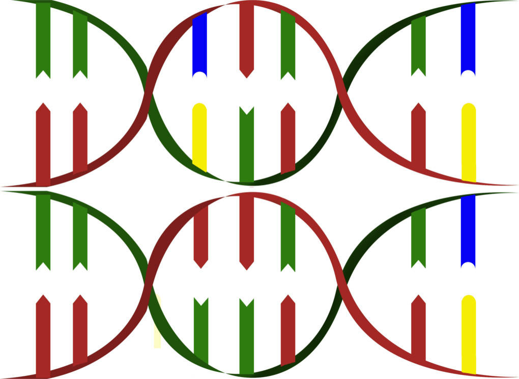Mutation der DNA