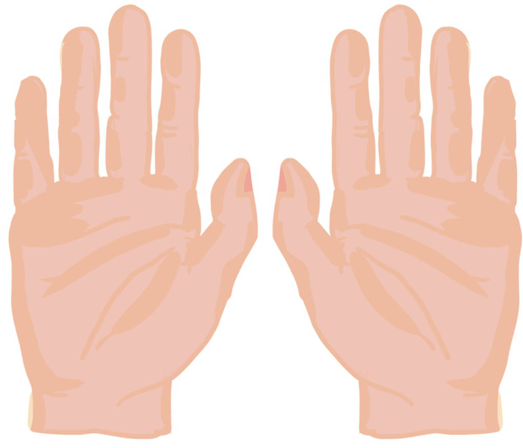 902_10_Finger.jpg