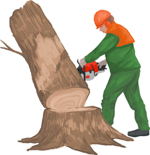 Baum_fällen.jpg