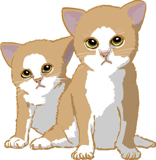 katzenjunge_(1).jpg