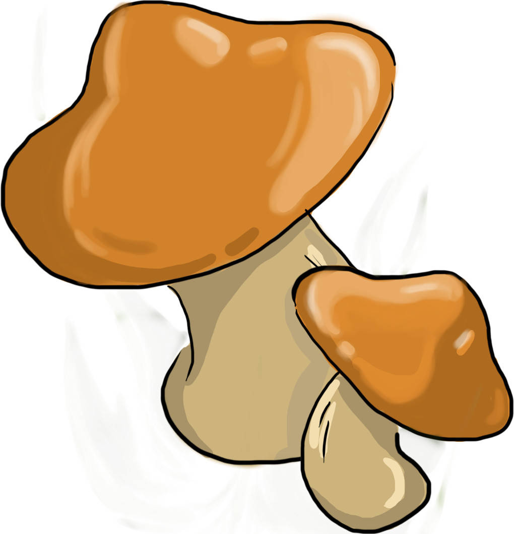Pilz.jpg