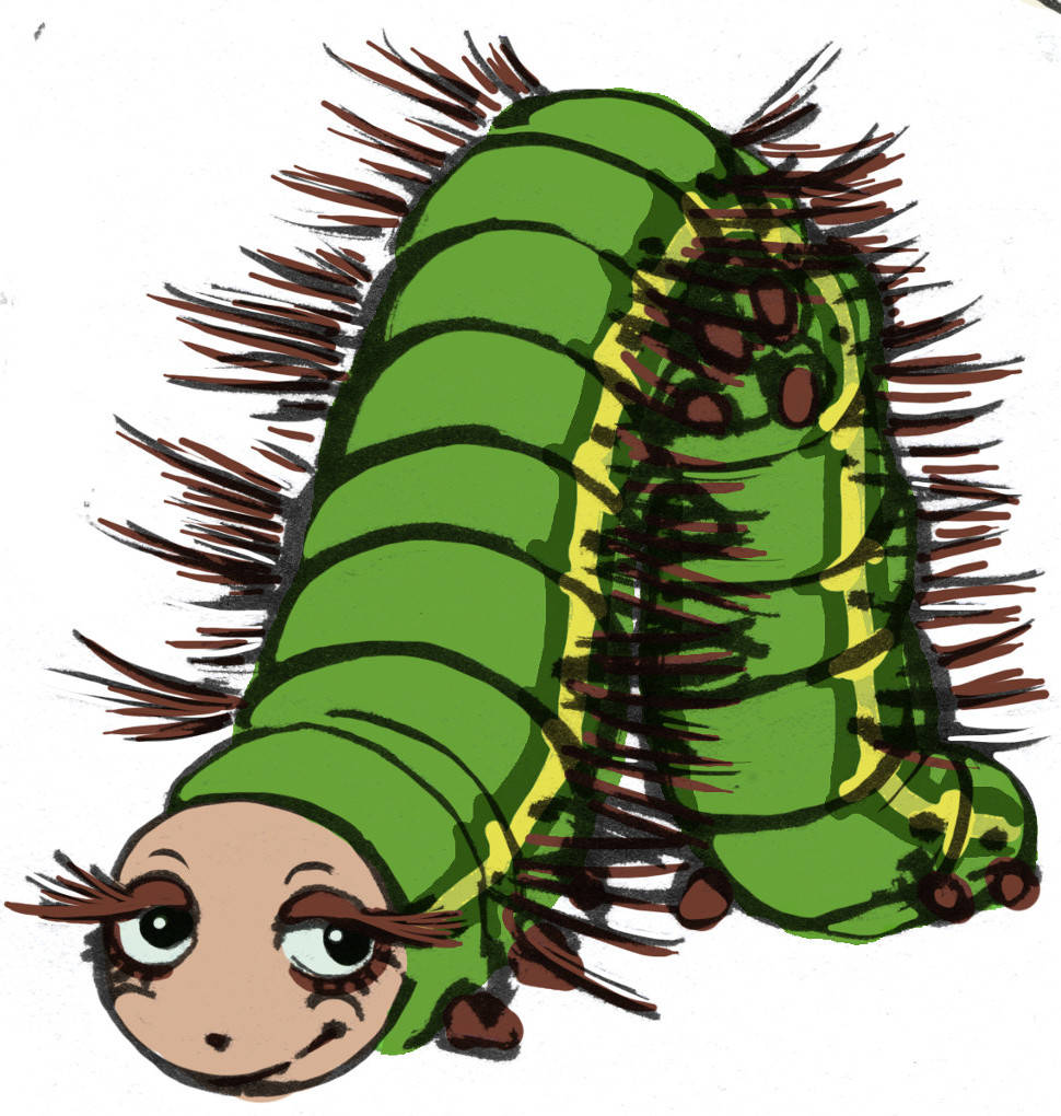 2Schmetterlingsraupe.jpg