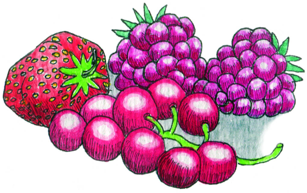 beeren.jpg