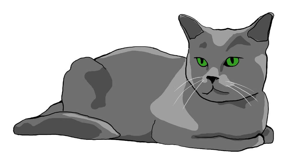 Katze.jpg