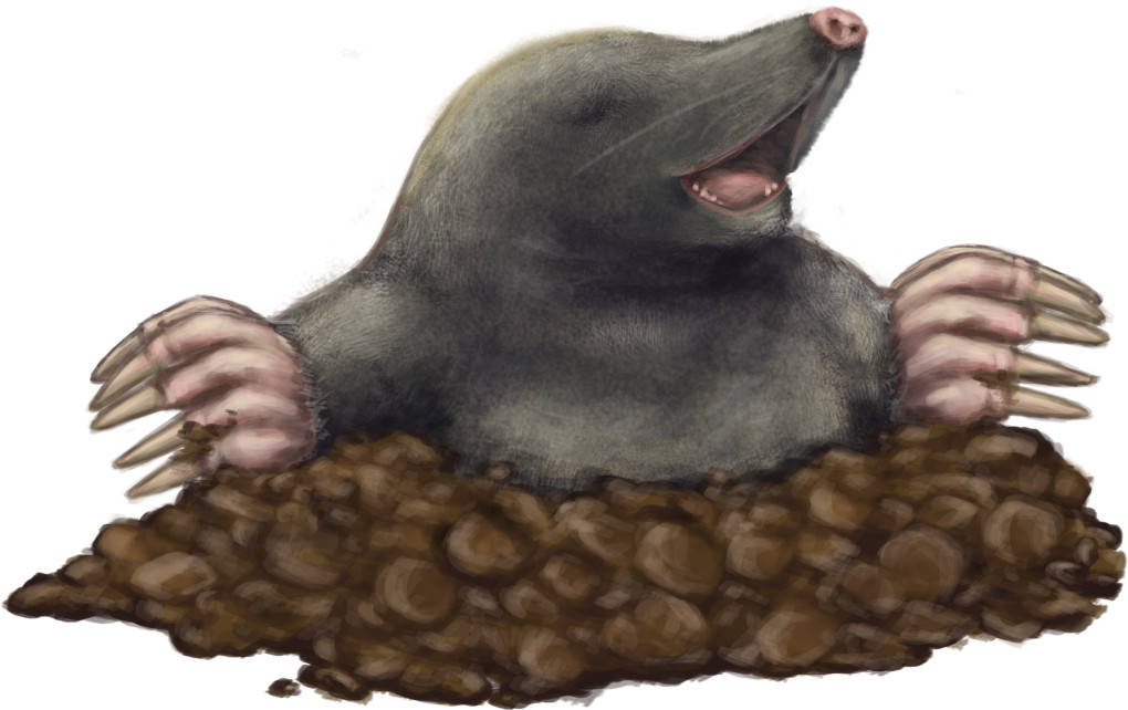 Maulwurfhügel