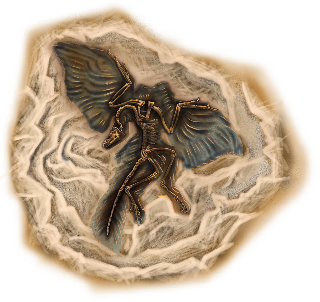 Fossil eines Archaeopteryx
