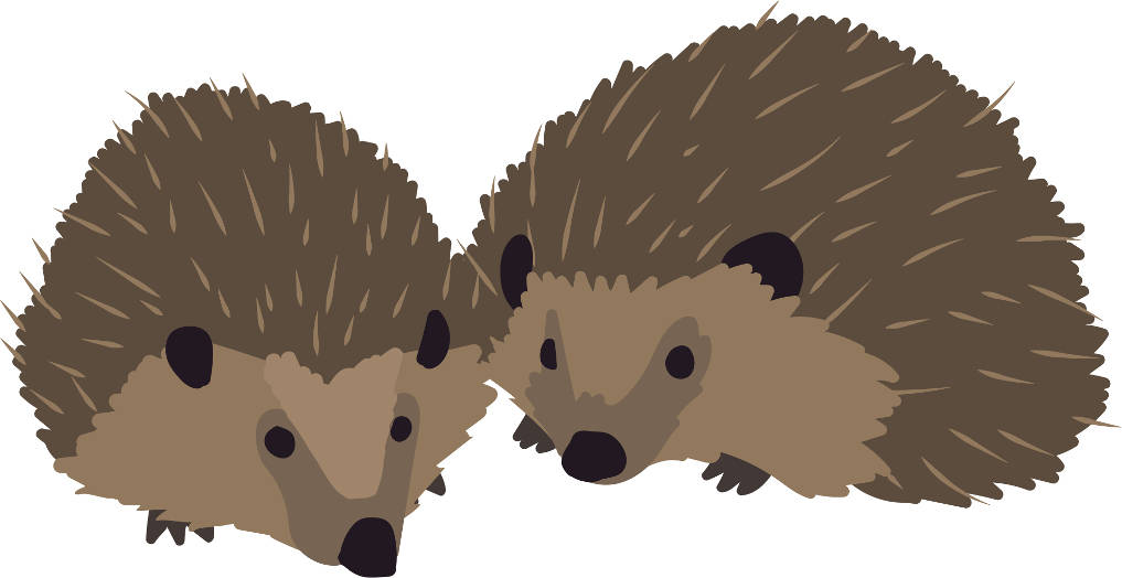 Zwei Igel