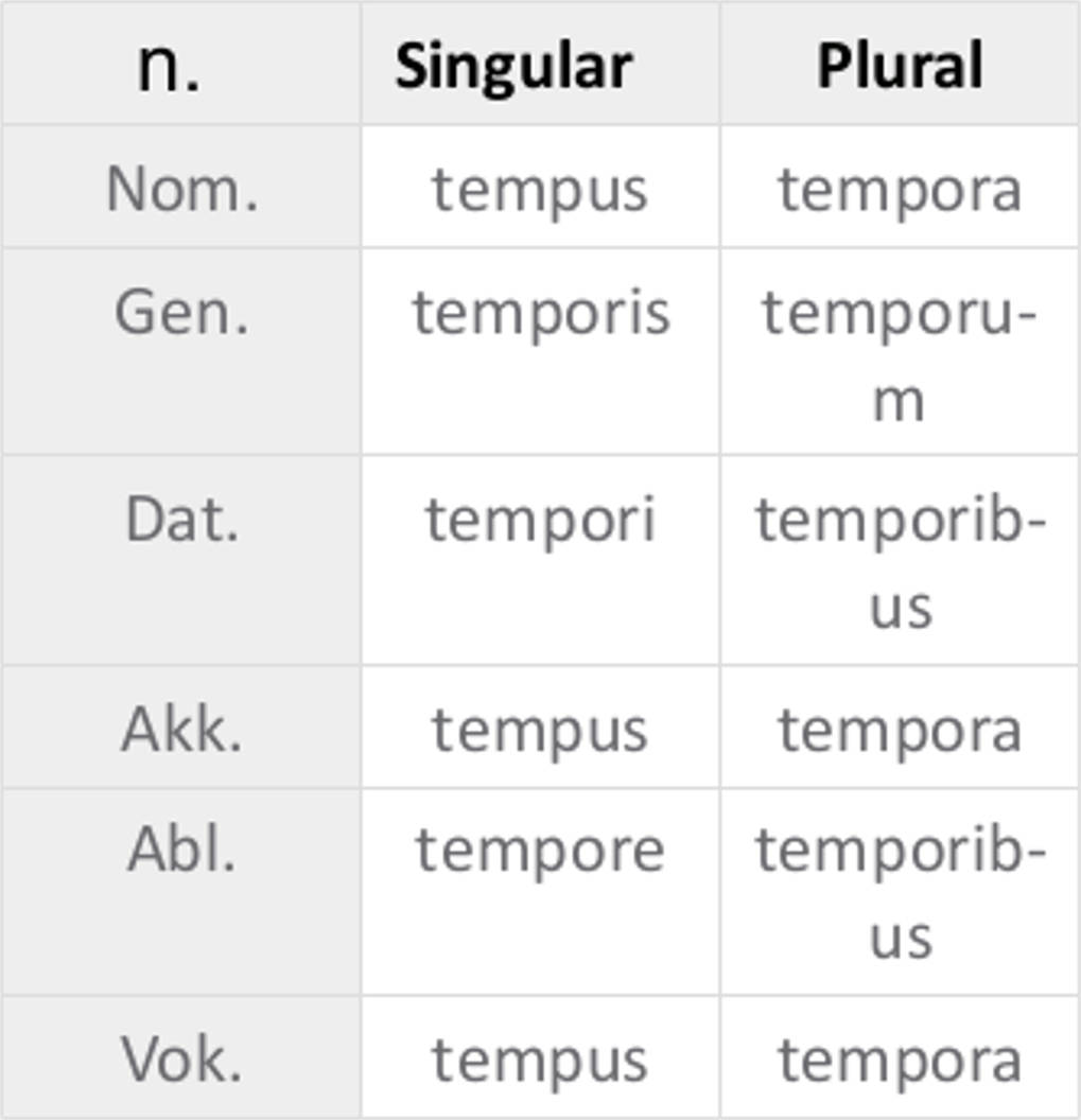 tempus_kons._Dekli.jpg