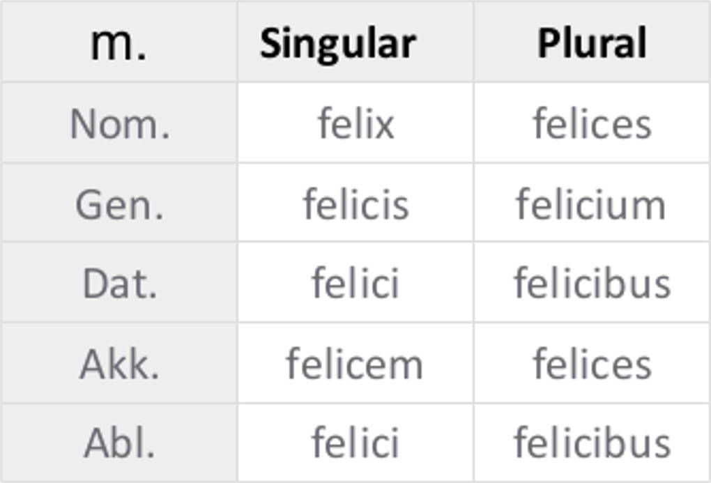 felix_m..jpg