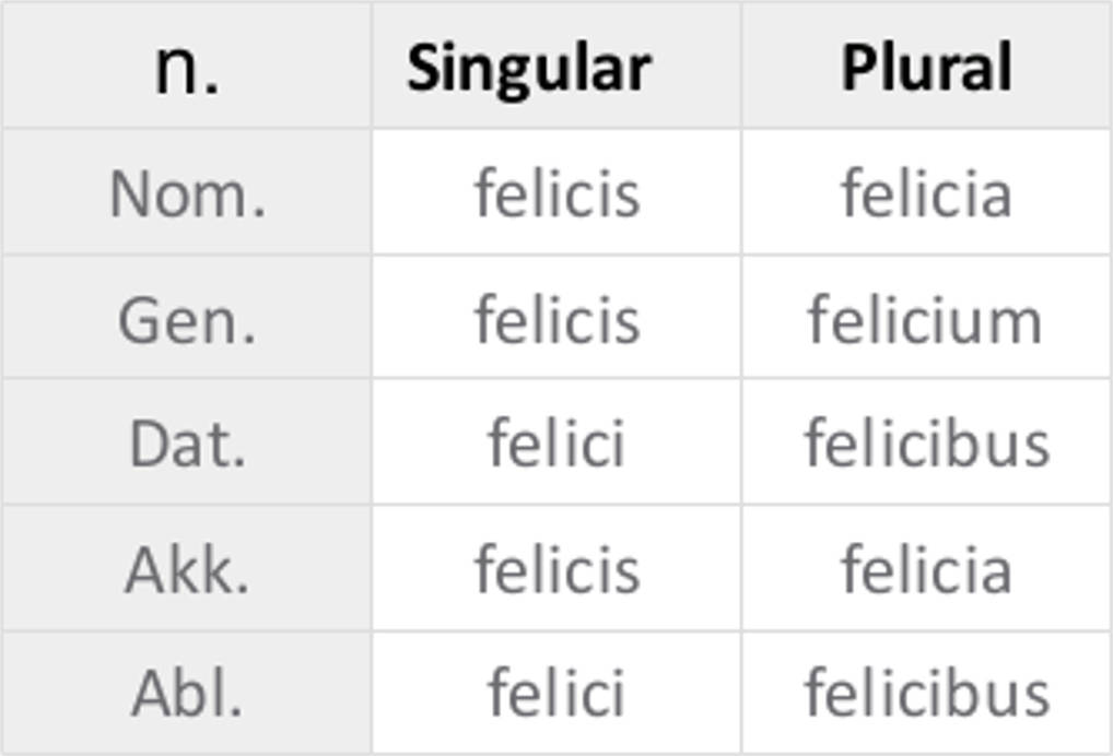 felicis_n..jpg