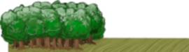 Wald Baumreihe