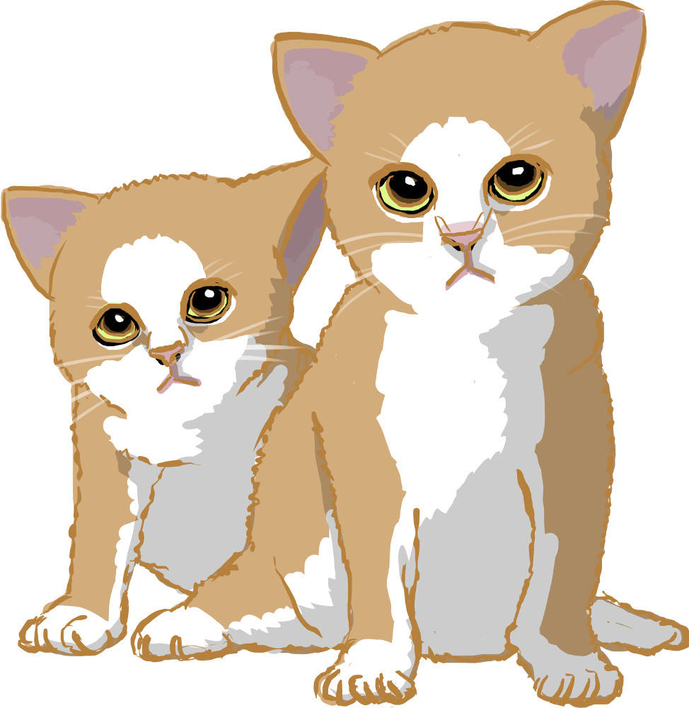 Katzenjungen.jpg