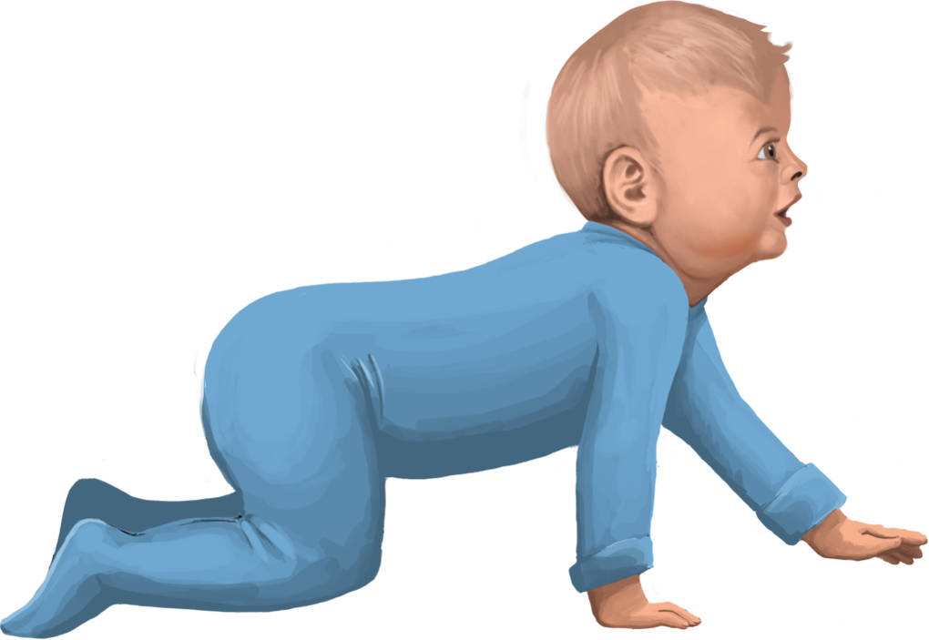 Baby.jpg