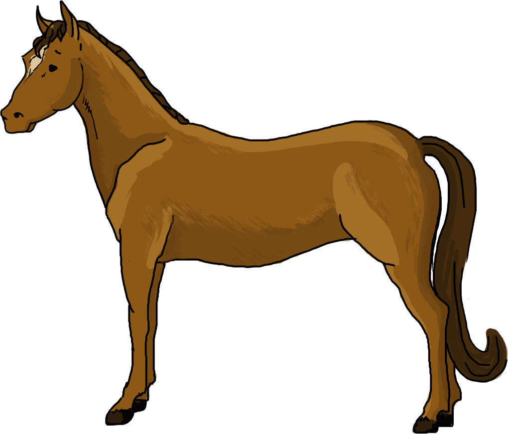 Pferd.jpg