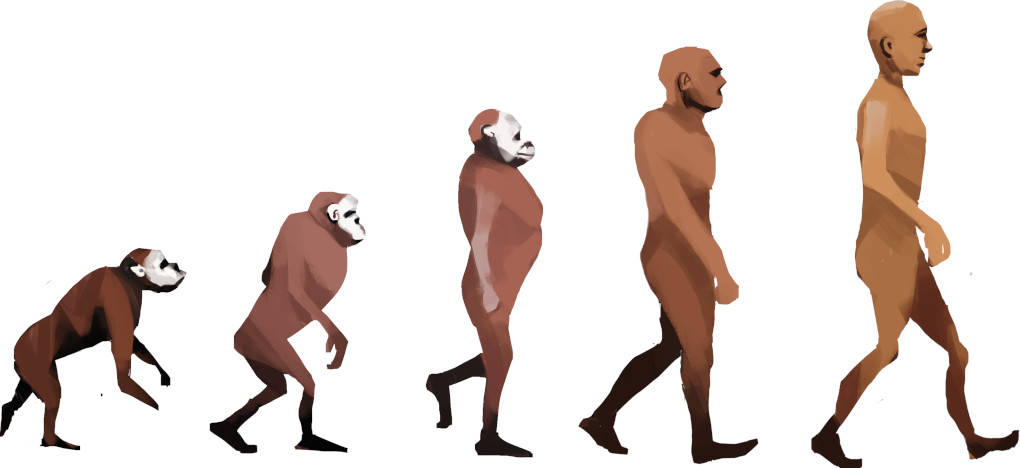 Evolution.jpeg