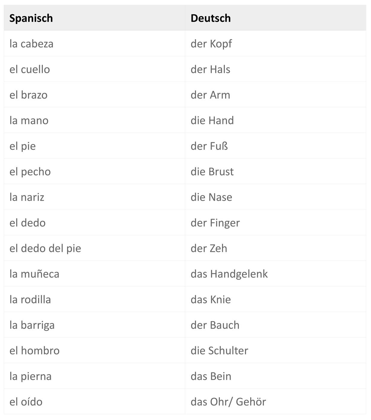 körperteile.jpg