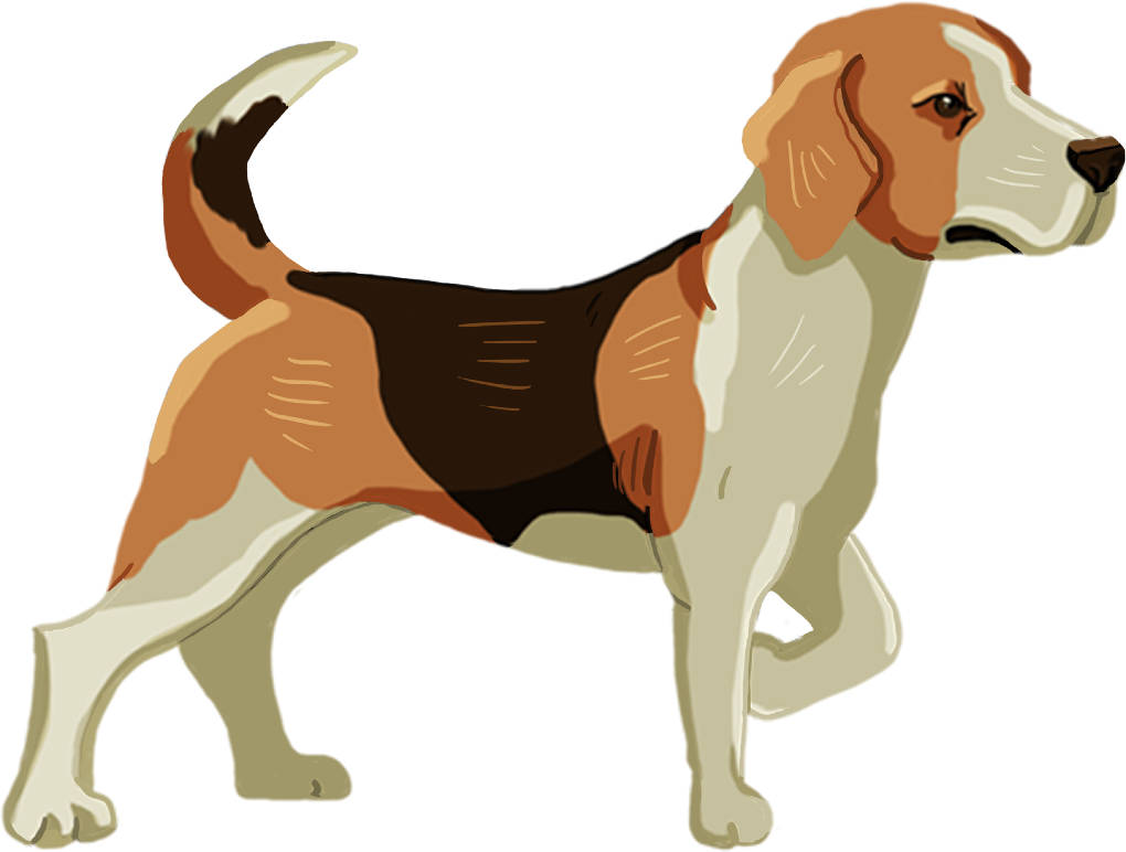 chien.jpg