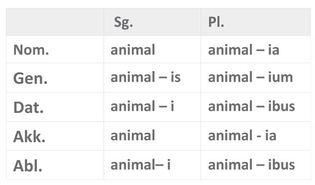 Tabelle_i-Dekl._animal.png