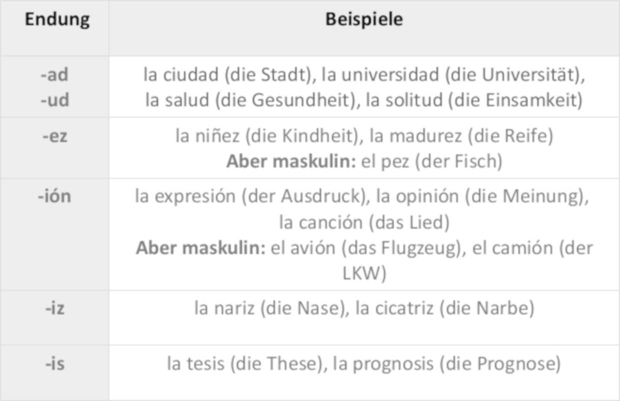 Feminine_Endungen.jpg
