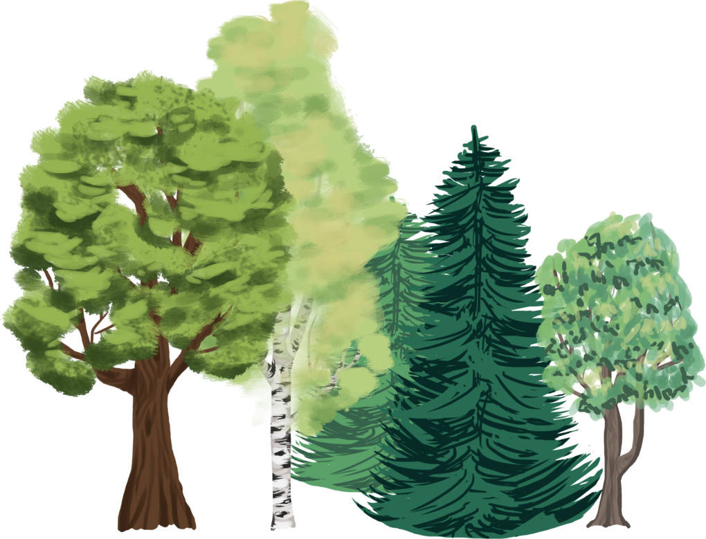 des_arbres