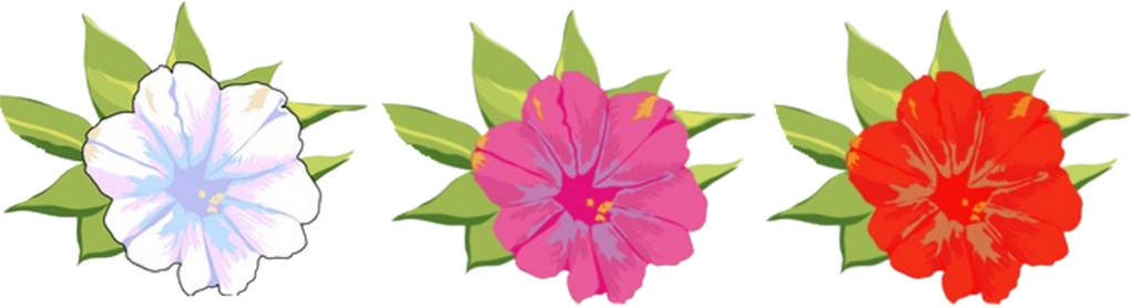 les_fleurs