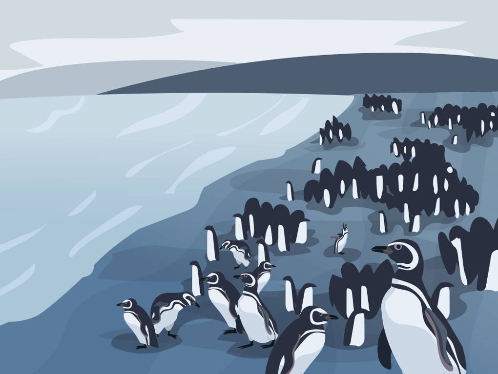 20455_pinguin_menge.jpg