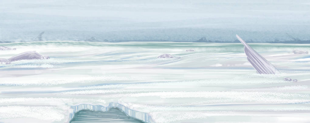Nordpolhintergrund.jpg