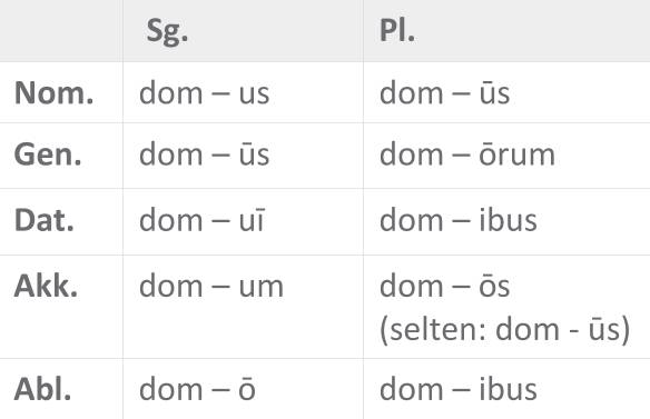 domus_u-Dekl_Sofatutor.png